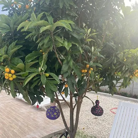 Apart-hotel Canbey Apartlari