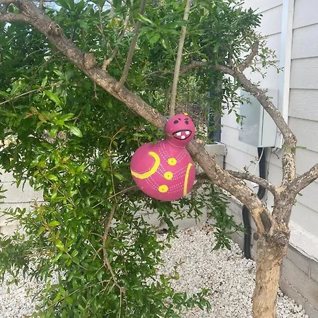 Apart-hotel Canbey Apartlari Adrasan