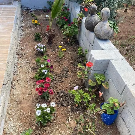 Canbey Apartlari *