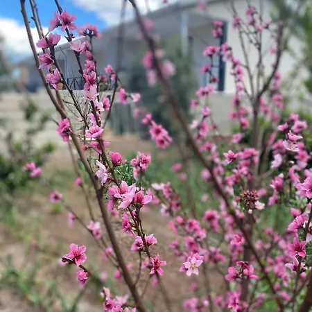 Canbey Apartlari 아파트호텔 아드라산