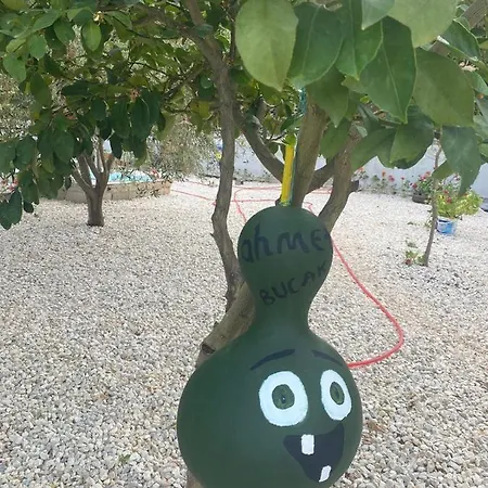 아파트호텔 Canbey Apartlari 아드라산